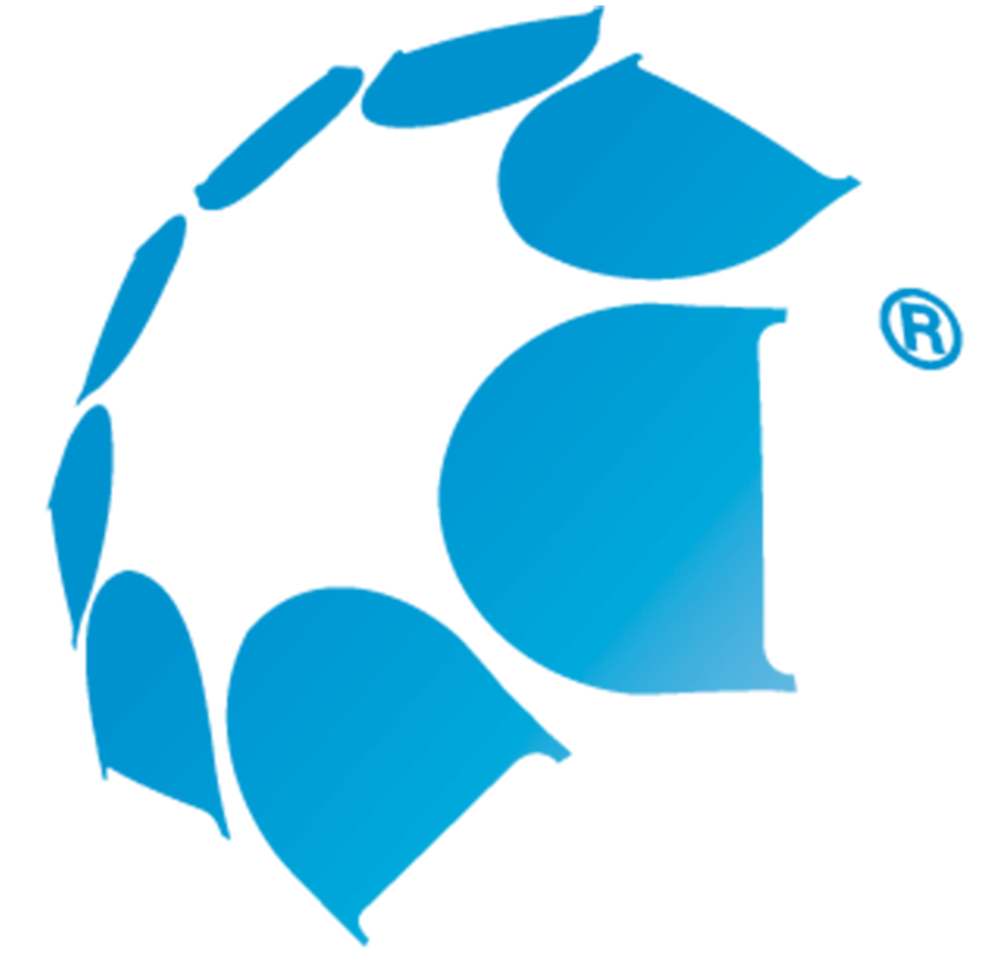 Delphis Group